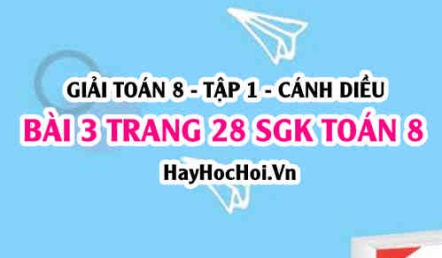 Giải bài 3 trang 28 Toán 8 Tập 1 SGK Cánh Diều